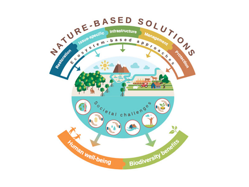 Nature-based Solutions